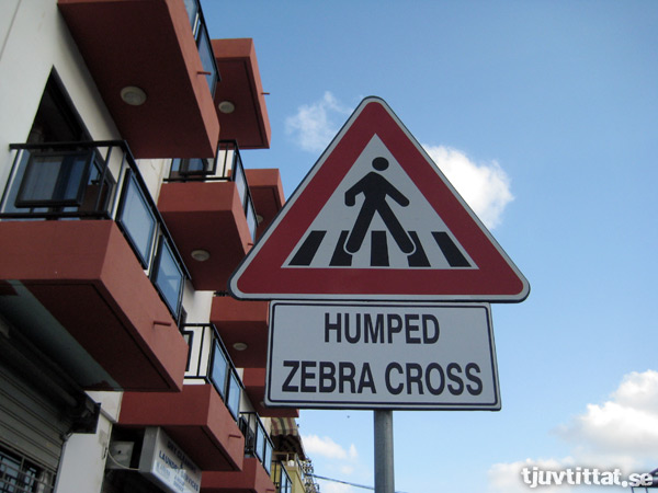Humped zebra cross