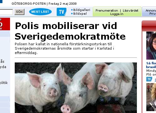 Sverigedemokraterna SD grisar GP