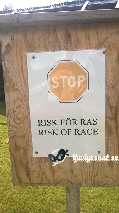 Risk-of-Race